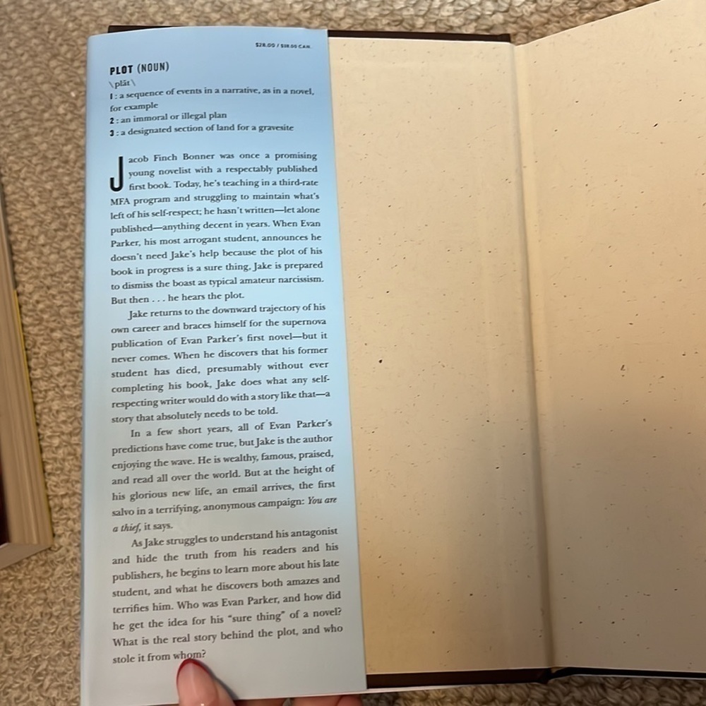 The plot - Picture 2 of 3